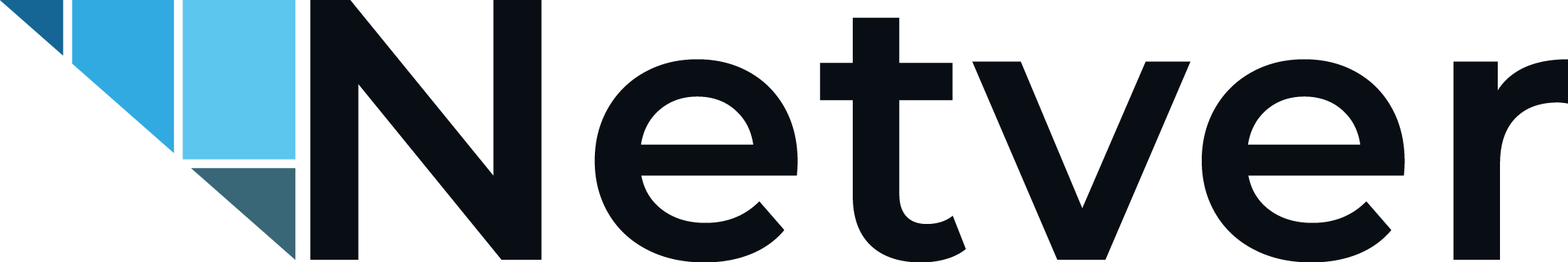 NETVER logo